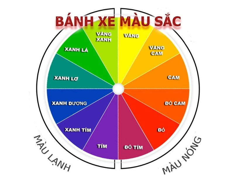 Một bình hoa rực rỡ với sự kết hợp của hoa đồng tiền màu vàng và các màu sắc khác như cam, đỏ, trắng, tạo nên tổng thể sống động